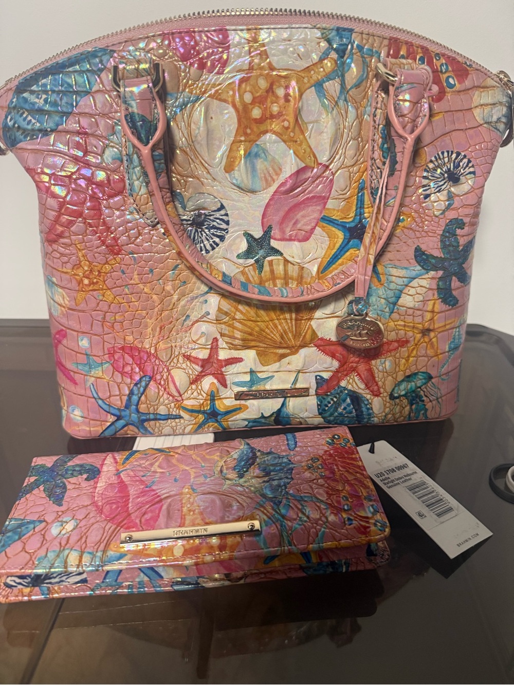 Brahmin Duxbury starlight and ady wallet set